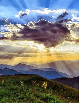 Willie Neal Obituary